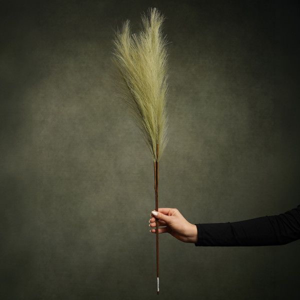 Sample products &mdash; Pampas & Feathers