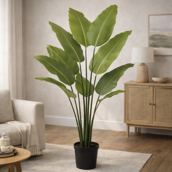 Sample products &mdash; Plants
