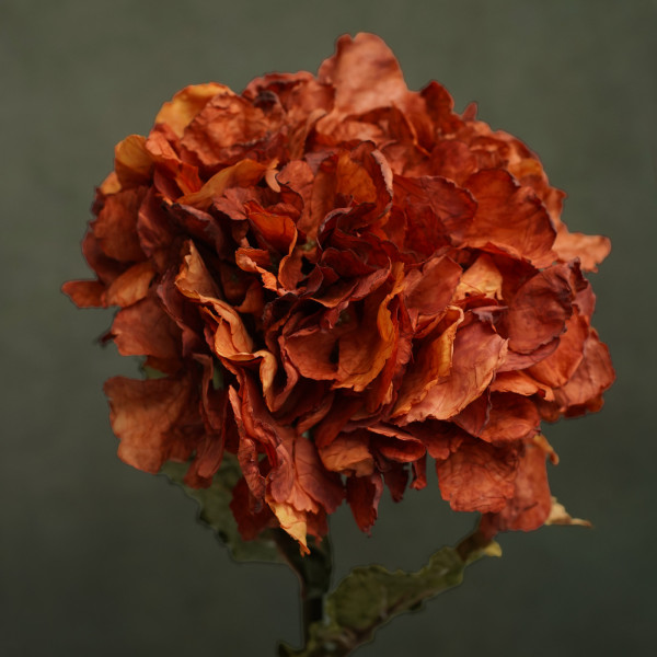 Sample products &mdash; Fleurs Lamarli&eacute;re &reg;